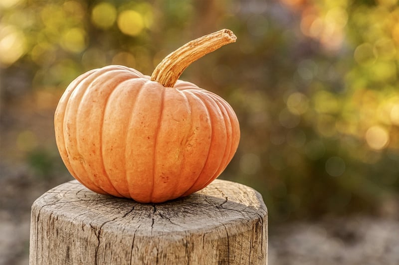 Fall Harvesting Tips